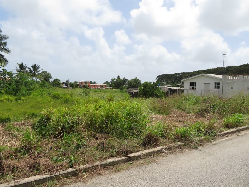 Land For Sale in Kendal Plantation Barbados